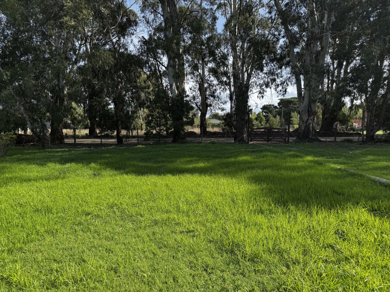VENTA EN BLOCK CABAÑAS ACANTILADOS GOLF MAS LOTE LINDERO - UNA EXPERIENCIA PREMIUM EN CONTACTO CON LA NATURALEZA