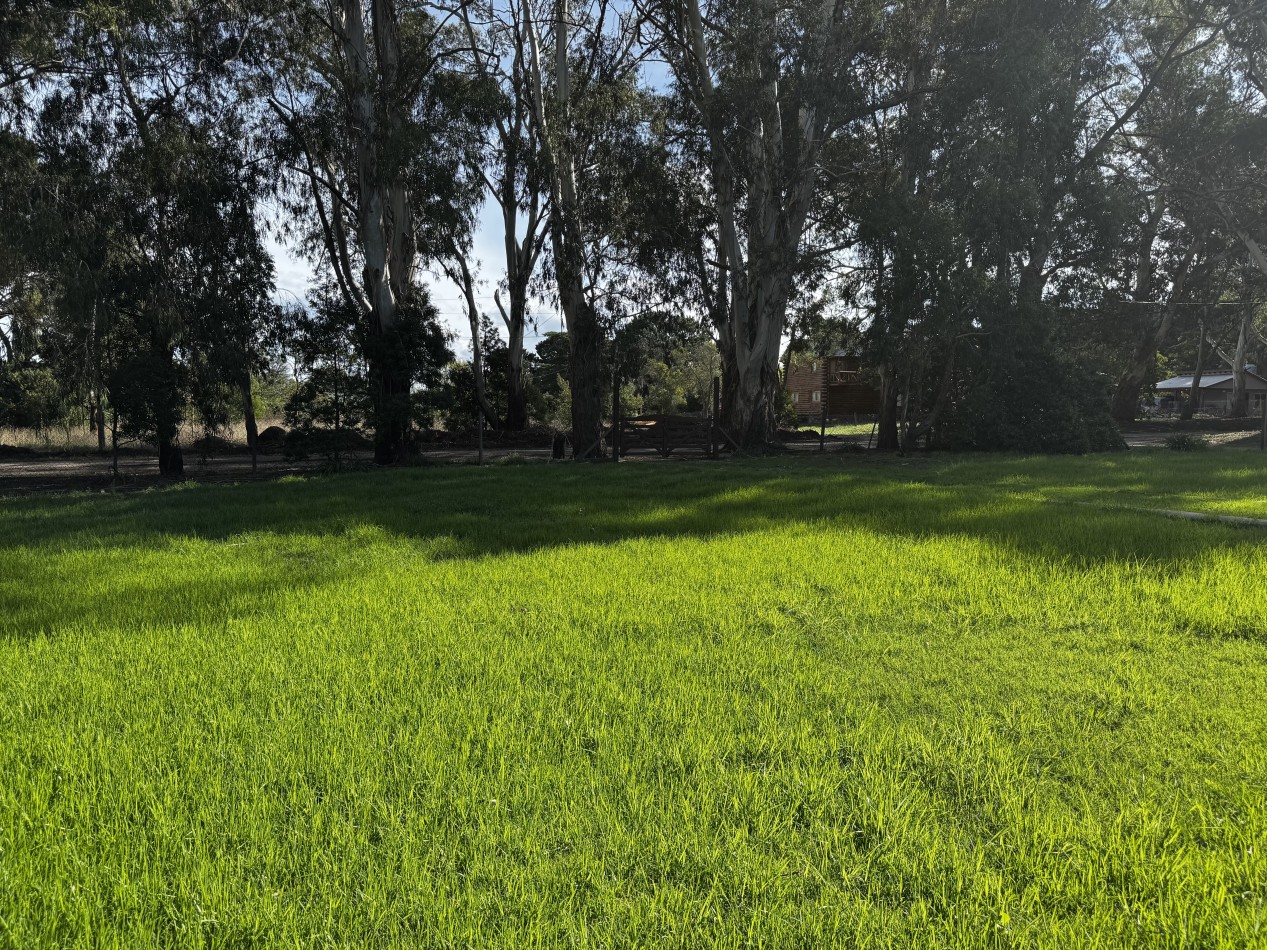 VENTA EN BLOCK CABAÑAS ACANTILADOS GOLF MAS LOTE LINDERO - UNA EXPERIENCIA PREMIUM EN CONTACTO CON LA NATURALEZA