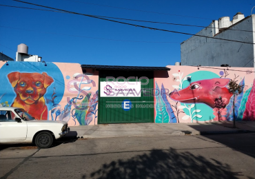 COCHERAS CON EXCELENTE RENTA!! TOMA VEHICULOS EN PARTE DE PAGO